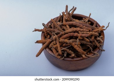 Yarsagumba Cordyceps Sinensis Ophiocordyceps Sinensis Belonging To Ophiocordycipitaceae Family
Is A Fungus