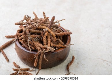 Yarsagumba Cordyceps Sinensis Ophiocordyceps Sinensis Belonging To Ophiocordycipitaceae Family
Is A Fungus