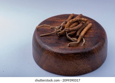 Yarsagumba Cordyceps Sinensis Ophiocordyceps Sinensis Belonging To Ophiocordycipitaceae Family
Is A Fungus