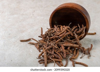 Yarsagumba Cordyceps Sinensis Ophiocordyceps Sinensis Belonging To Ophiocordycipitaceae Family
Is A Fungus