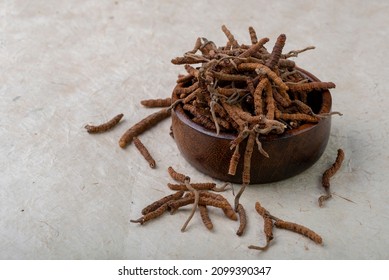 Yarsagumba Cordyceps Sinensis Ophiocordyceps Sinensis Belonging To Ophiocordycipitaceae Family
Is A Fungus