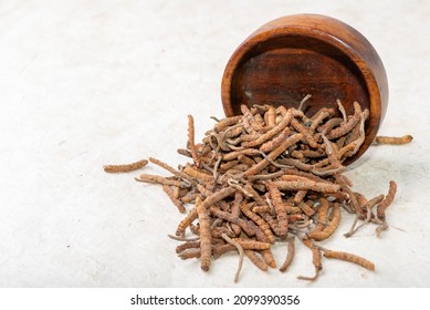 Yarsagumba Cordyceps Sinensis Ophiocordyceps Sinensis Belonging To Ophiocordycipitaceae Family
Is A Fungus