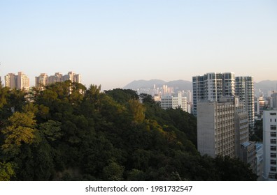 Yau Ma Tei, Kowloon, Hong Kong - November 22, 2009: A High-level Overview Of Waterloo Road, Kings Park And Ho Man Tin.