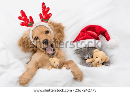 Yawning English Cocker spaniel puppy dressed like santa claus reindeer  Rudolf lying with cozy kitten under white blanket at home. Pets hugs toy bears. Top down view