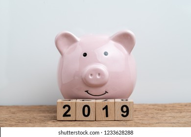 Year 2019 Financial Target, Budget, Investment Or Business Goals Concept, Pink Piggy Bank And Cube Wooden Block Building Year Number 2019 On White Background.