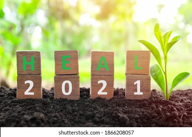 Year 2021 Healing, Hope, Growth, Life Renewal, New Beginnings And Recovery Concept. Wooden Blocks Heal Word With Growing Plant At Sunrise On Natural Background.