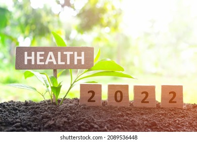 Year 2022 Investing On Family And Health Insurance As Priority Concept. Wooden Blocks 2022 With Plant At Sunrise On Natural Background.	