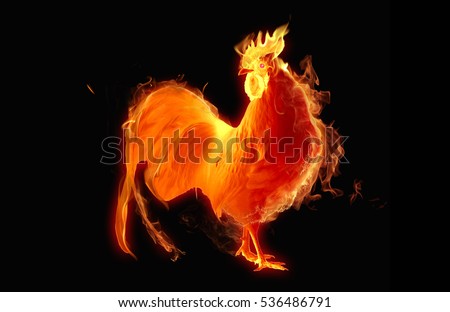 Year fire rooster.
