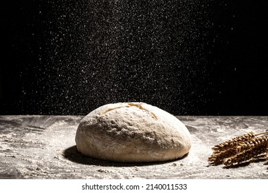 yeast dough for bread or pizza on a floured surface, with flour splash. Cooking bread. Kneading the Dough. Long banner format