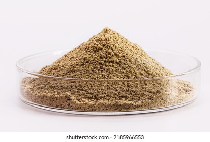 Yeast Extract Powder, a waste product from brewing that contains high concentrations of yeast and is often used in the food industry as an additive - Shutterstock ID 2185966553