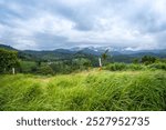 Yellamalai from Gudalur, Tamil Nadu - A Plantation Village in Tamil Nadu Neelagiri District.