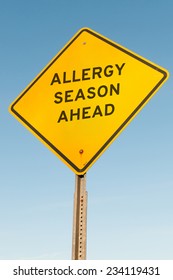 Yellow Allergy Season Ahead Highway Road Sign