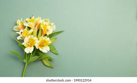 Alstroemeria の画像 写真素材 ベクター画像 Shutterstock