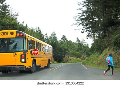 Yellow American school bus waiting for girl with stop sign for other drivers until she crosses the forest road.  - Powered by Shutterstock