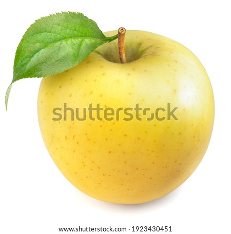 Yellow apple with leaves isolated on white background, Yellow Orin Apples on white background With clipping path