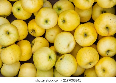 yellow apples in a box, ripe apples as a background, a lot of apples after harvest, autumn background, background image - Shutterstock ID 2197008241
