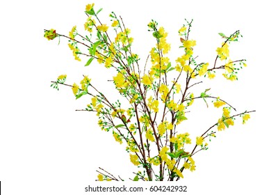 Yellow apricot flower artificial isolated on white background