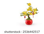 Yellow Apricot flower tree vase pot traditional vietnamese Tet New year decoration on a white. Hoa mai Lucky charm decoration of apricot flower branch bonsai for wishing lucky on lunar  new year
