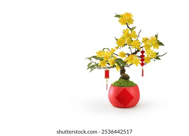 Yellow Apricot flower tree vase pot traditional vietnamese Tet New year decoration on a white. Hoa mai Lucky charm decoration of apricot flower branch bonsai for wishing lucky on lunar  new year
 - Powered by Shutterstock