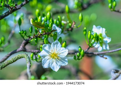 Spring Has Come Hd Stock Images Shutterstock