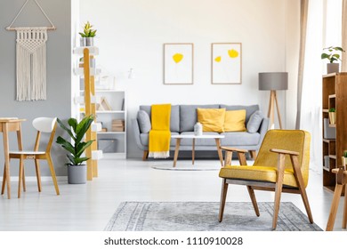 Yellow armchair on rug near plant in open space interior with posters above grey couch. Real photo with blurred background