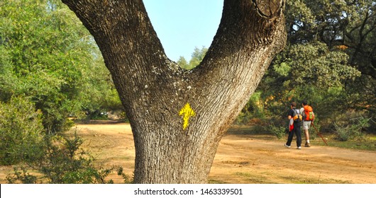 Yellow Arrow And Pilgrims Near Castilblanco Village In Way To Santiago (Via De La Plata) At Seville Province. Via De La Plata Is The Camino De Santiago From Seville To Santiago