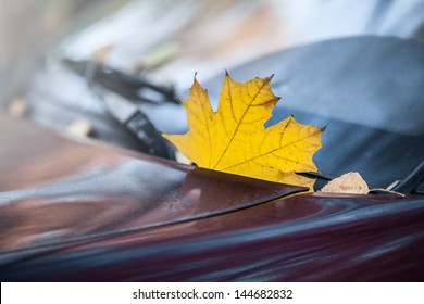 Yellow Autumn Fall Leaf On Car Windshield. Closeup.