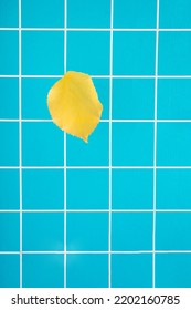 Yellow Autumn Leaf On A Square Blue Tiles. Kitchen Fall Abstract Design. Minimalist Still Idea. September Seasonal Colors.