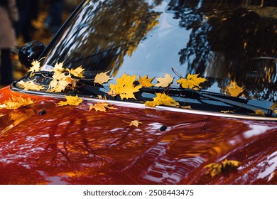 Yellow autumn leaves on red car hood and windshield. Fall season, automotive photography, reflections, seasonal change, outdoor nature, car maintenance concept. - Powered by Shutterstock