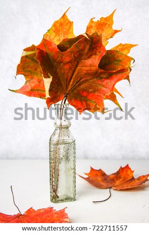 Yellow autumn maple leaf in an old glass bottle on a light background.