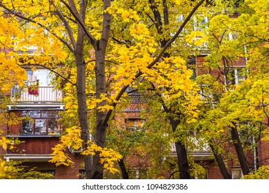 Yellow autumn trees in front of the house - Shutterstock ID 1094829386