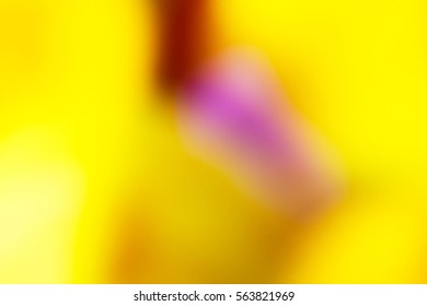 yellow background