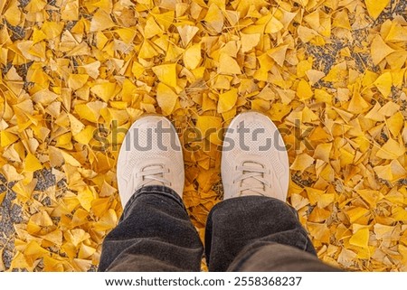 Similar – Image, Stock Photo Two golden yellow ginkgo leaves with small, punched-out hearts lie together on a white piece of paper.