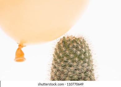 Yellow Balloon The Moment Before Being Destroyed By The Needles Of A Cactus