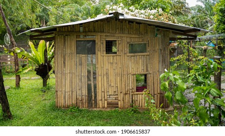 Yellow Bamboo House For Cats 