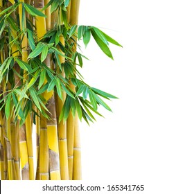 166,170 Yellow bamboo Images, Stock Photos & Vectors | Shutterstock