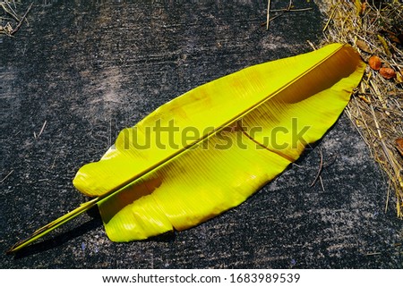 Similar – yellow plastic bag