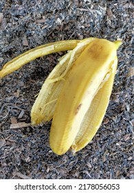 Yellow Banana Peel On The Ground