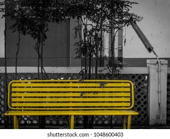 A yellow bench