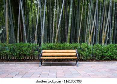 Yellow bench in the park, against the background of the bamboo wood.