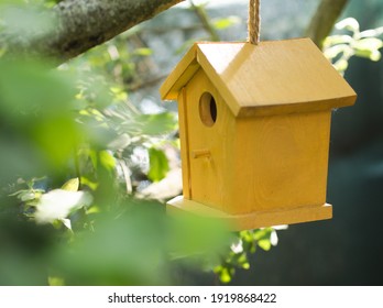 Yellow Bird House Hanging On Tree Branch