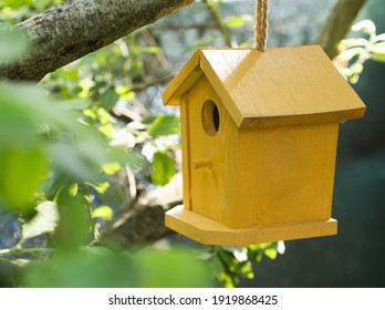 Yellow Bird House Hanging On Tree Branch