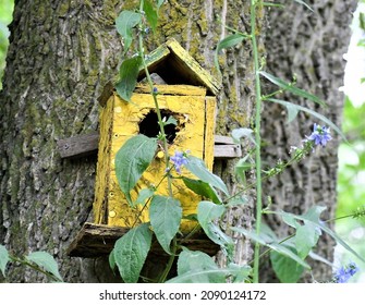 Yellow Bird House On A Tree. 