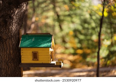 Yellow birdhouse on a spruce tree against the backdrop of an autumn forest. - Powered by Shutterstock