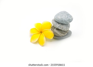 Yellow blooming plumeria next to stacked little stone on white background.