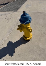 Yellow and blue fire hydrant casting a strong shadow on a concrete sidewalk in bright sunlight. Urban street utility with minimalist composition and geometric lines.
