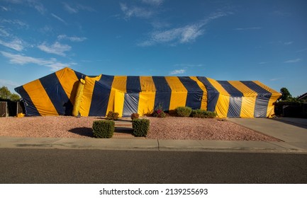 Yellow And Blue Termite Tent On A Ranch Style House