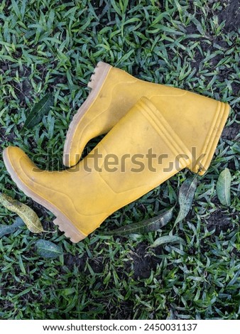 Yellow boots on the grass. Grass background