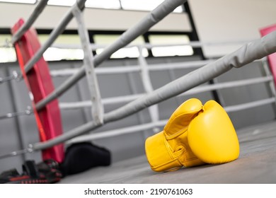 Yellow Boxing Gloves In Gym Fitness. 