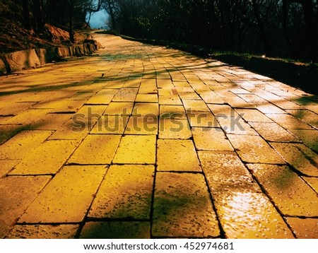 Yellow brick path with dramatic shadows